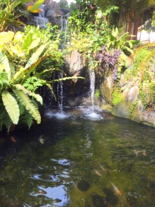 Refreshing little pond